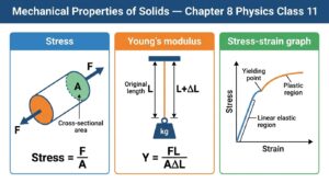 Mechanical Properties of Solids Class 11 Physics Questions and Answers | Kerala Plus One Physics Chapter 8 Solutions | ഖര പദാർഥങ്ങളുടെ യാന്ത്രിക ഗുണങ്ങൾ