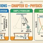 Oscillations Class 11 Questions and Answers | Kerala Plus One Physics Chapter 13 Notes Pdf | ആന്ദോളനം ചോദ്യോത്തരങ്ങൾ